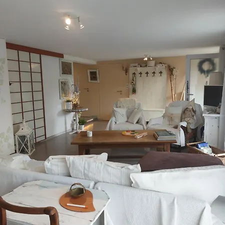 Emozione Apartment Guebwiller